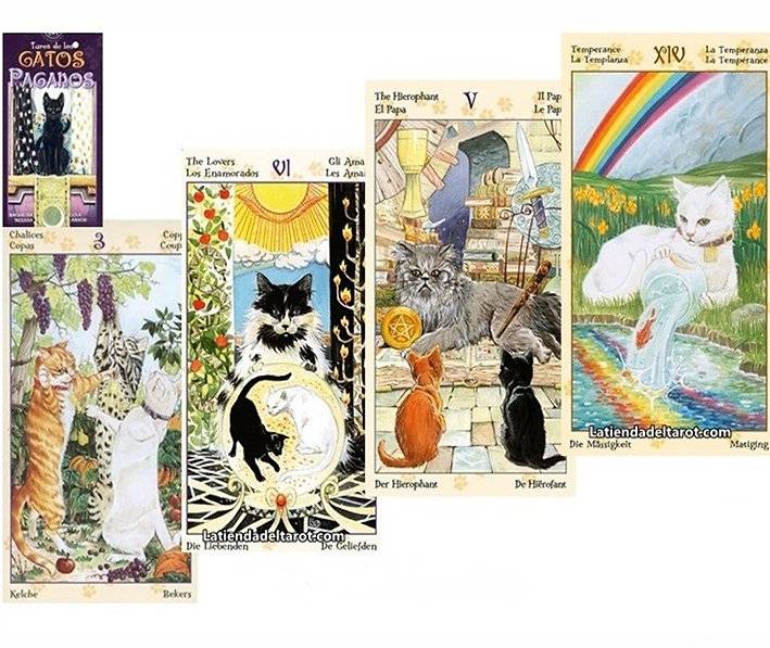Tarot de los gatos paganos - El AlmaZen del Alquimista
