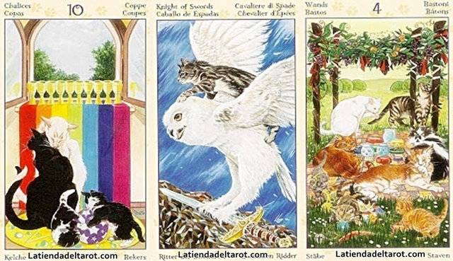 Tarot de los gatos paganos - El AlmaZen del Alquimista