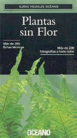 PLANTAS SIN FLOR.