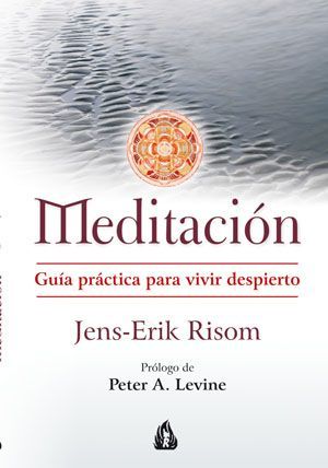 Meditación. Guía práctica para vivir despierto