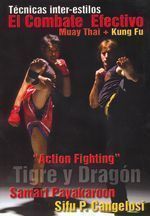 El combate efectivo. Muay thai + kung fu. Técnicas inter-estilos. Action fighting. Tigre y dragón