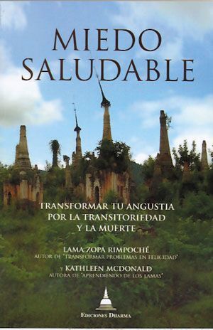Miedo saludable. Transformar tu angustia por la transitoriedad y la muerte
