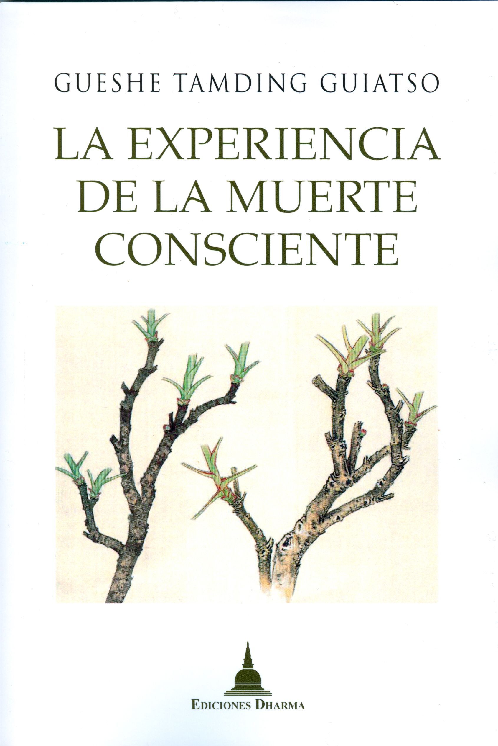 La experiencia de la muerte consciente.