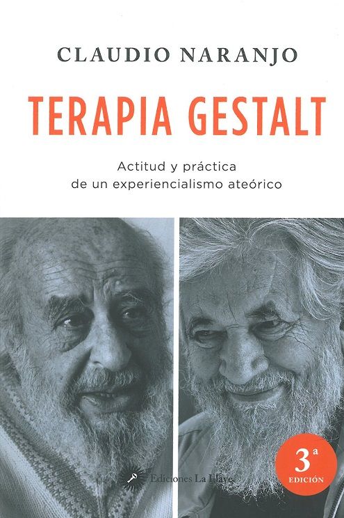 Terapia gestalt. Actitud y práctica de un experiencialismo ateórico