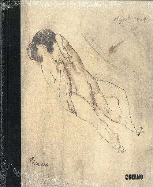 Cuadernos eroticos de Pablo Picasso.