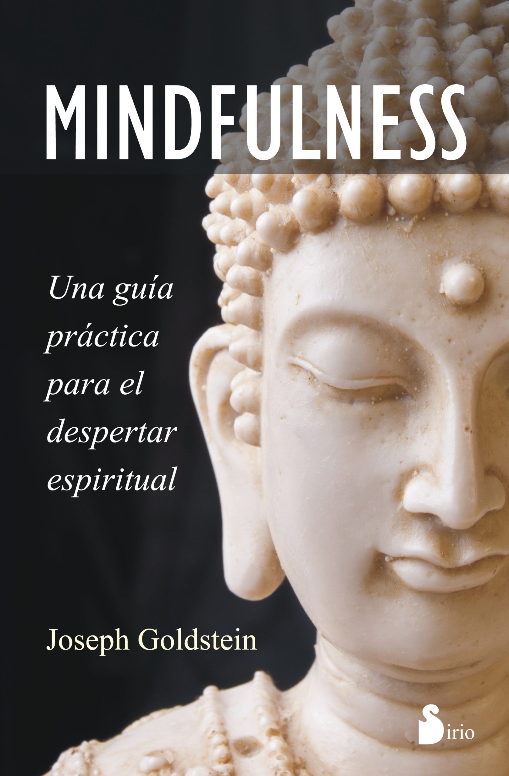 Mindfulness, una guia......... Una guia practica para el despertar espiritual