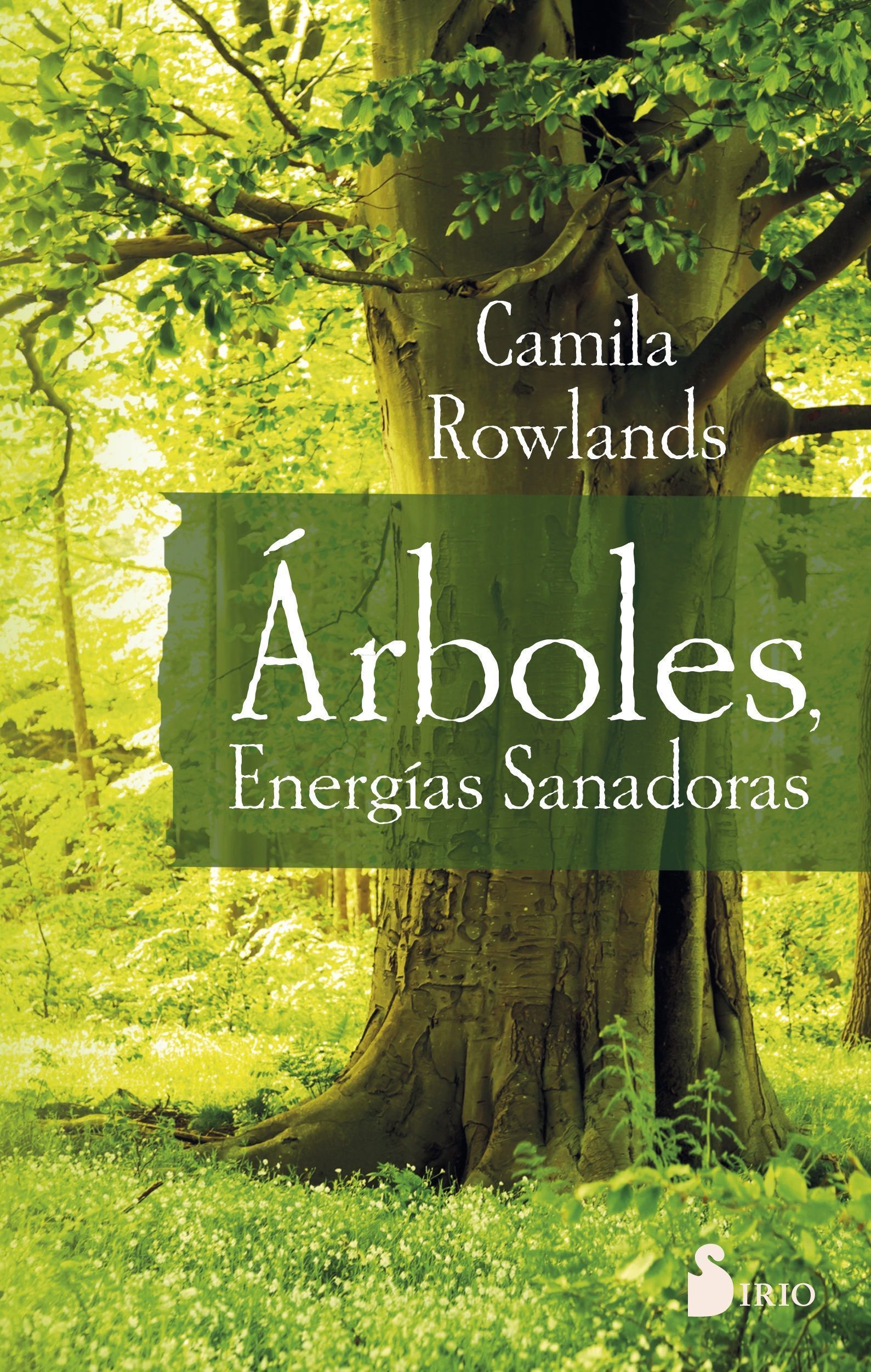 Arboles, energias sanadoras