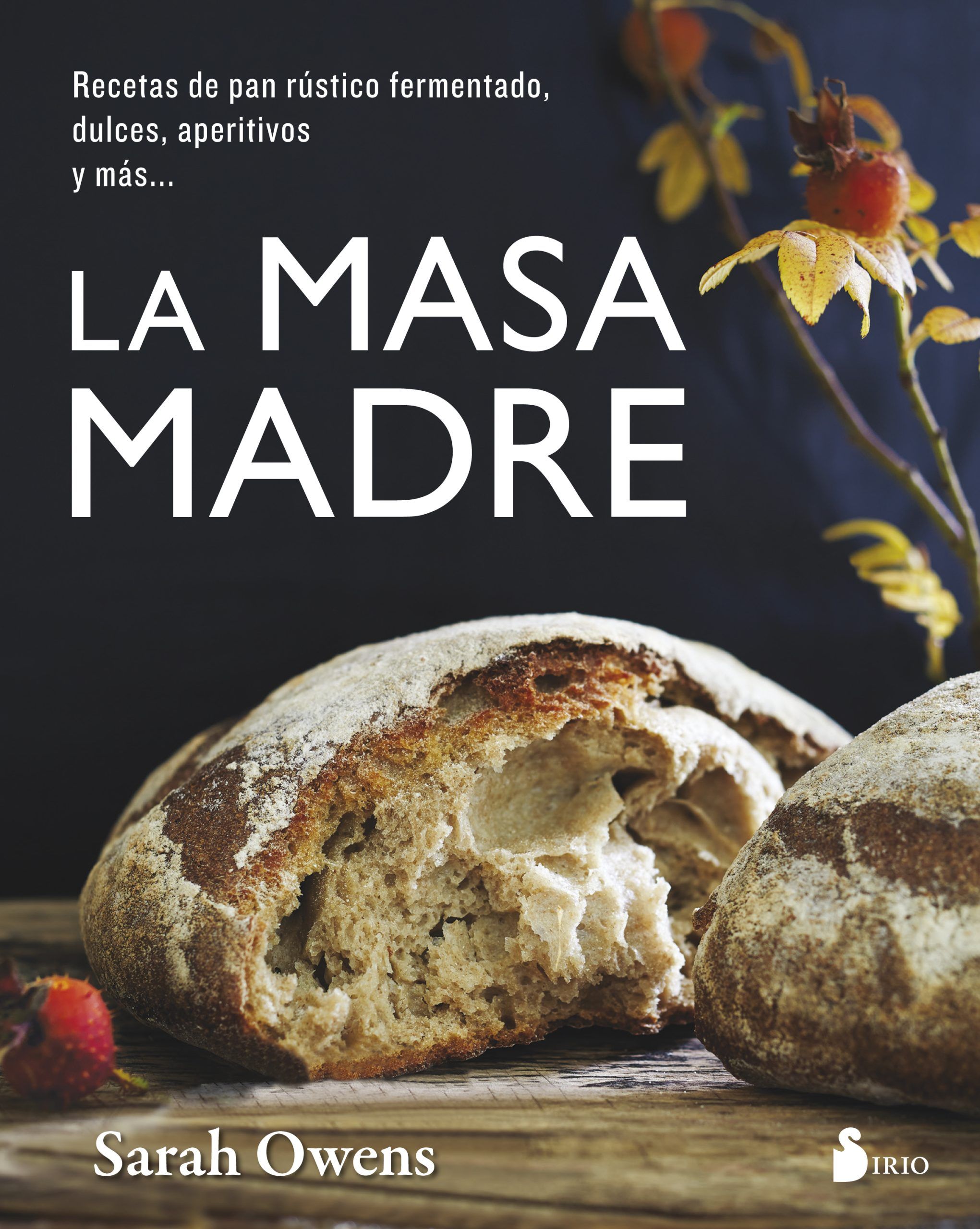 Masa madre, la Recetas de pan rustico fermentado, dulces, aperitivos y mas