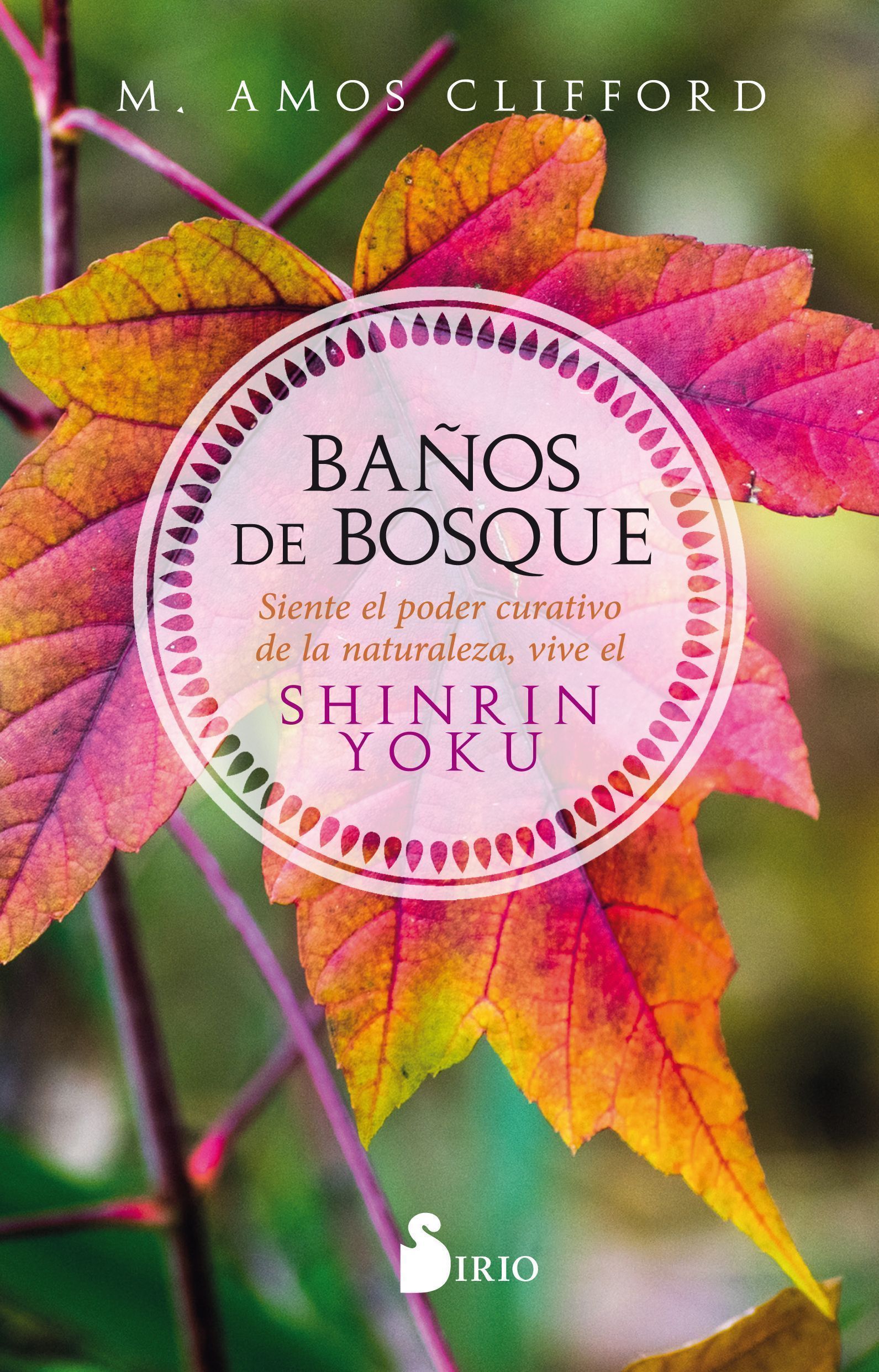 Baños de bosque Siente el poder curativo de la naturaleza, vive el shinrin yoku