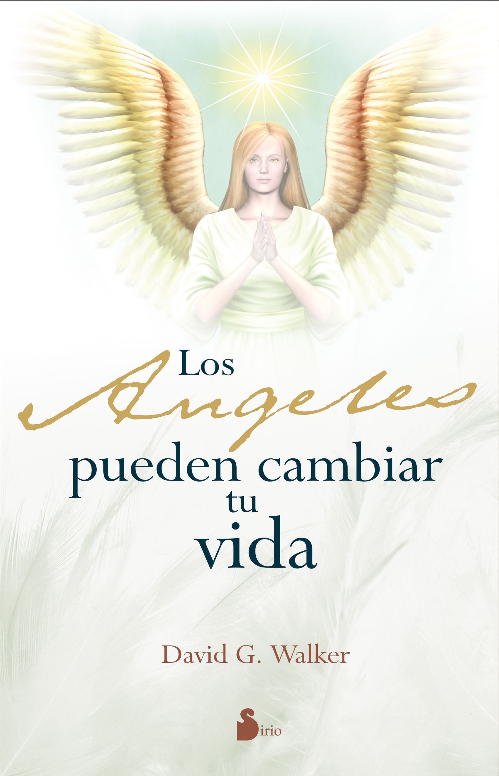 Angeles pueden cambiar tu vida, los (cartoné)