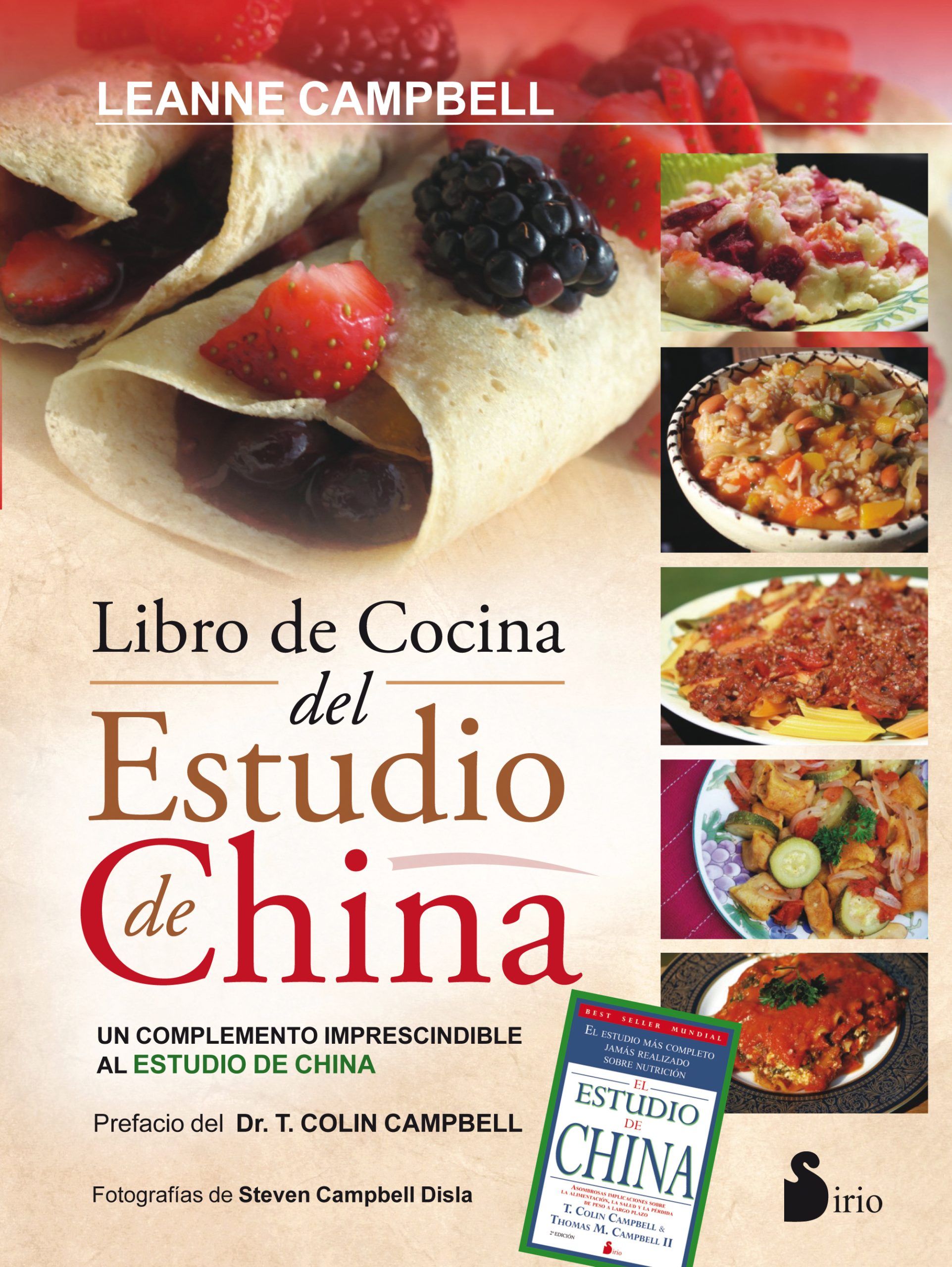 Libro de cocina del estudio de china, el Un complemento al estudio de china