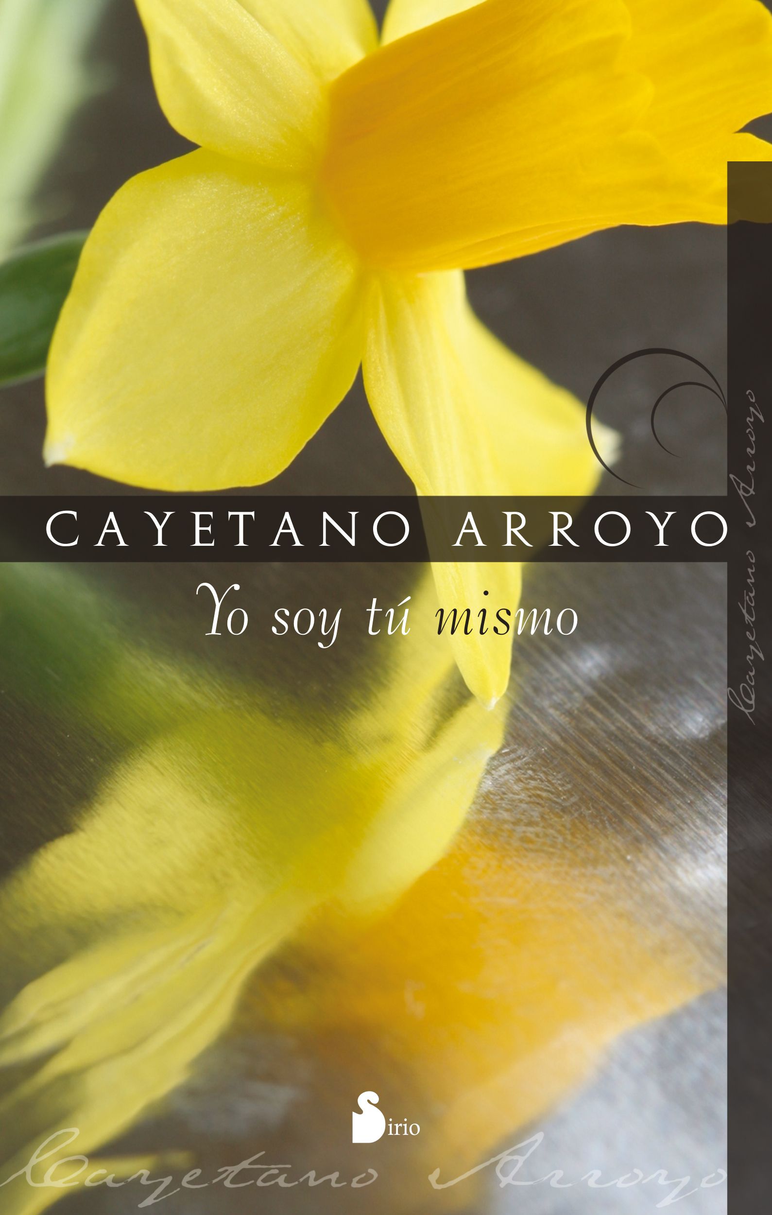 Yo soy tu mismo
