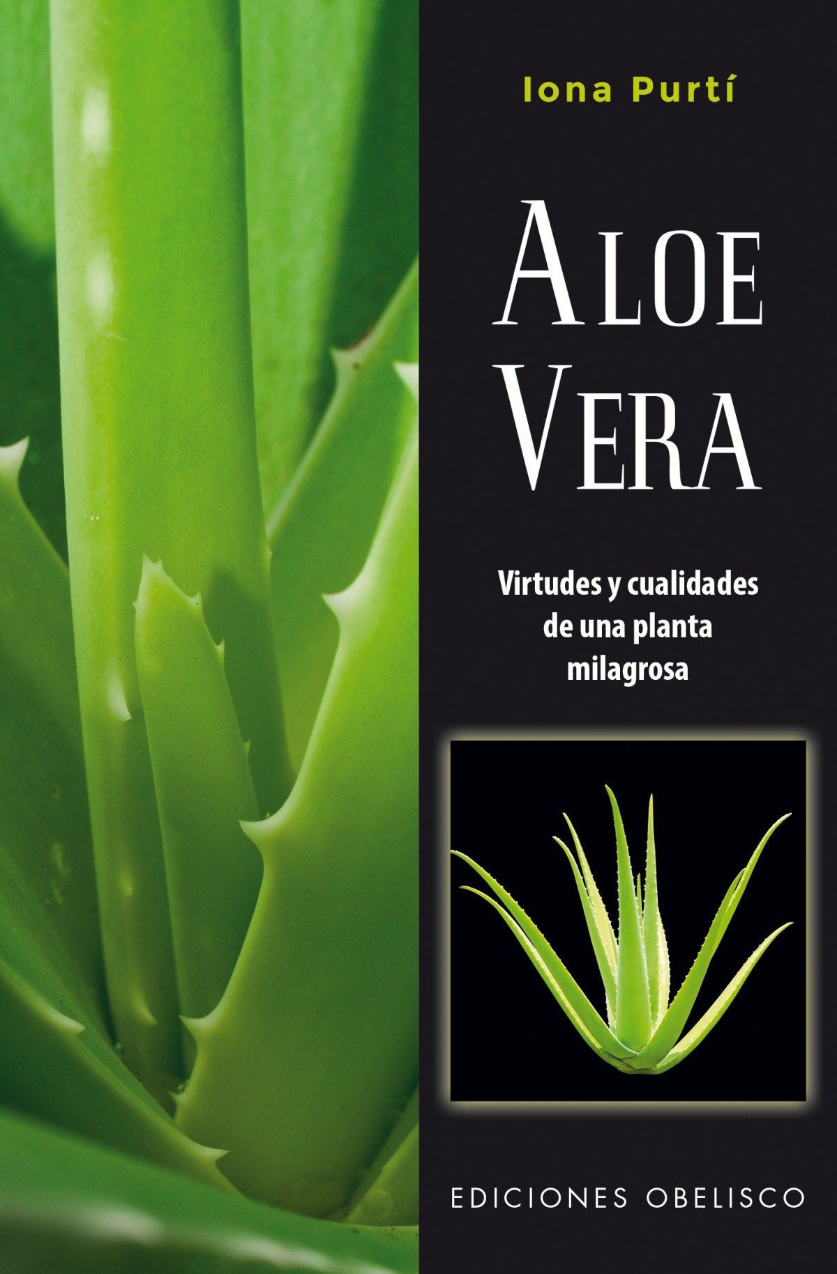 Aloe Vera (N.E.)