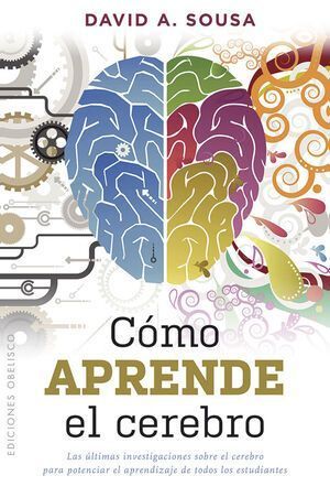 Cómo Aprende El Cerebro
