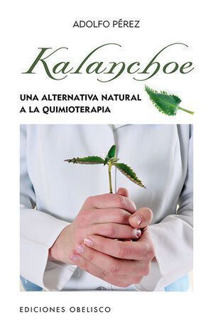 Kalanchoe (Bolsillo)