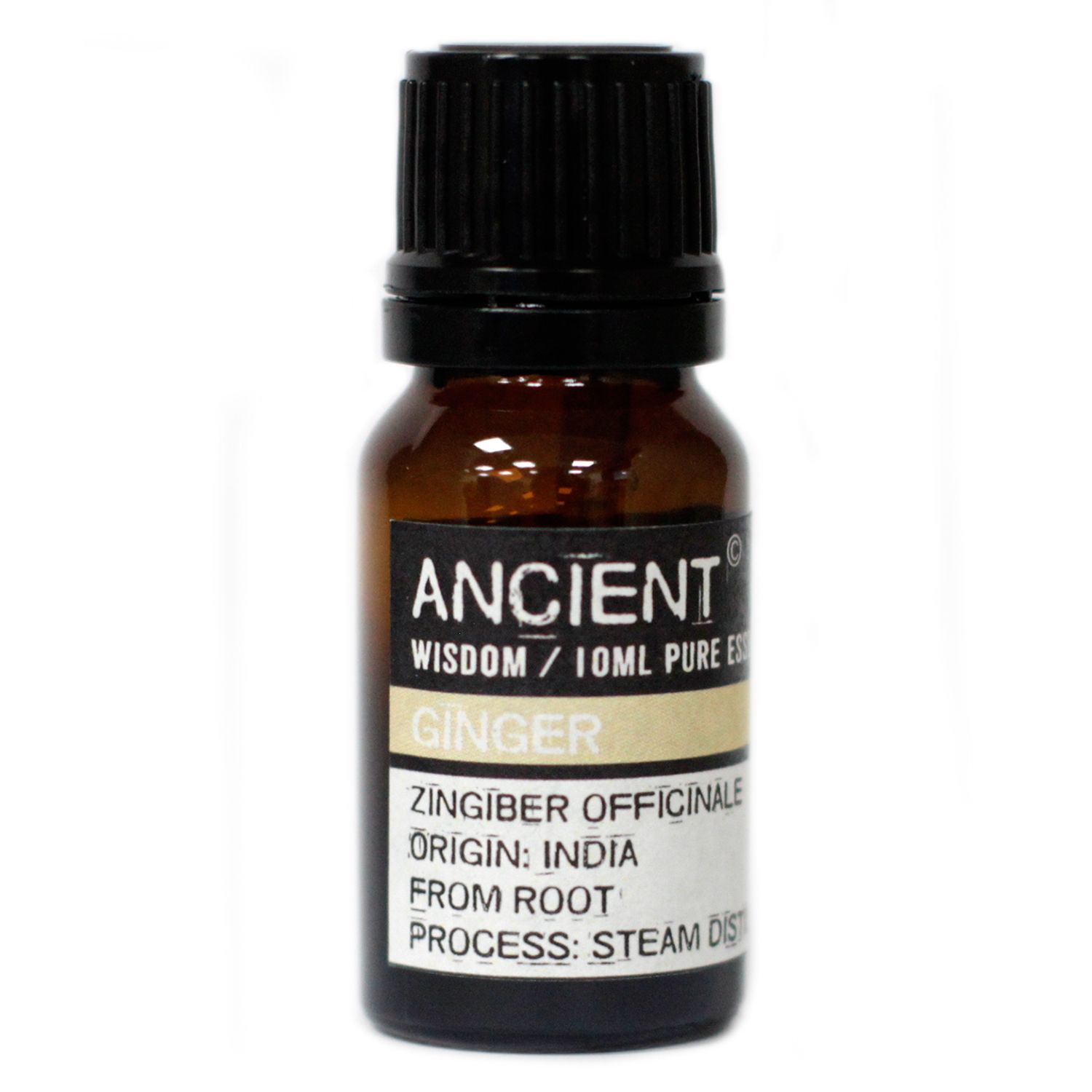 Aceite Esencial Jengibre - Imagen 2