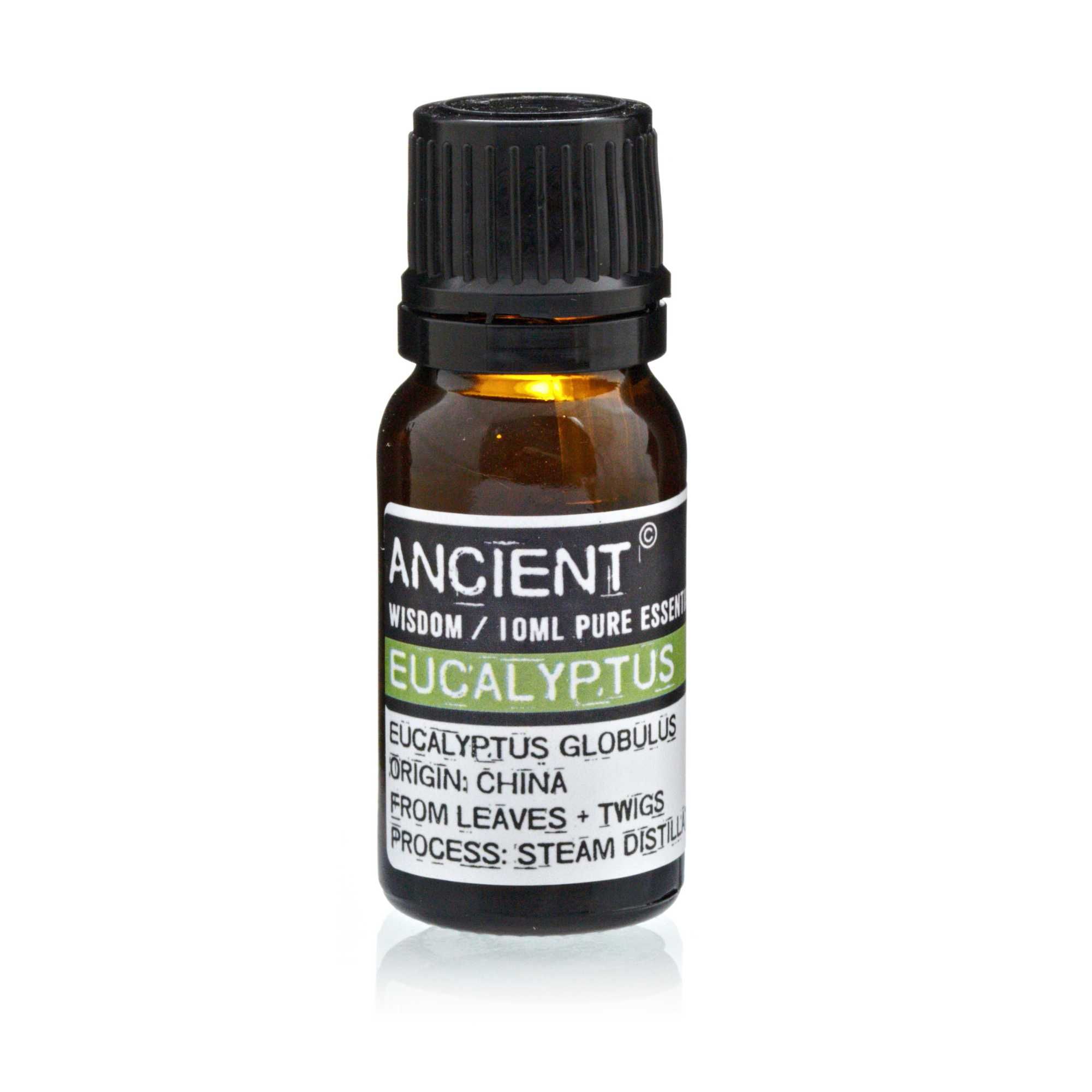 Aceite Esencial Eucalipto - Imagen 3