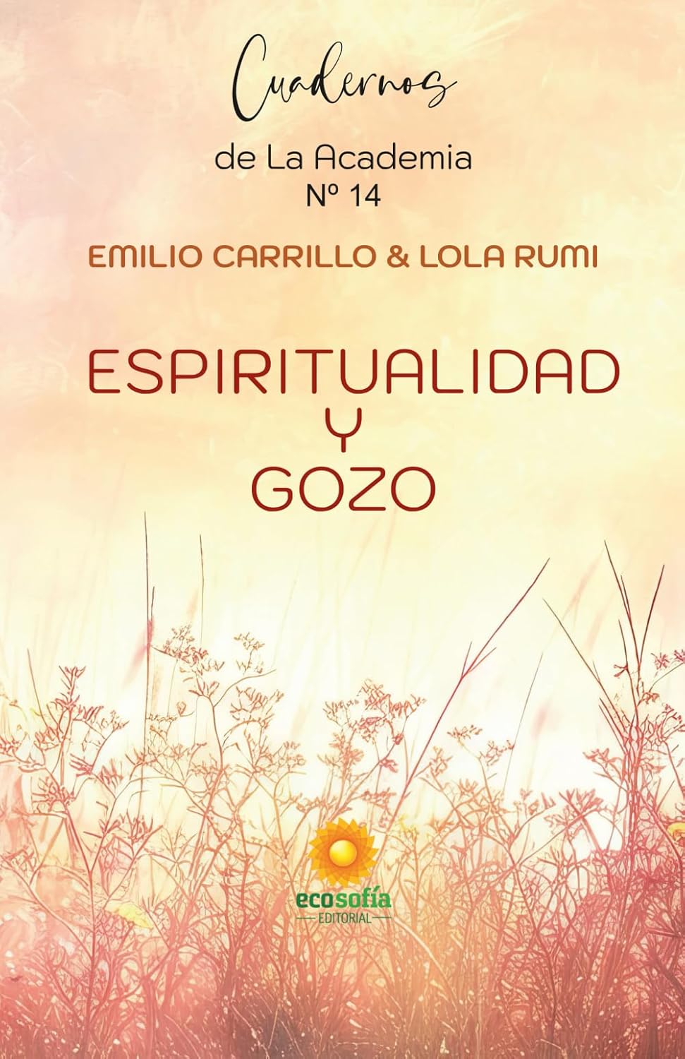 Espiritualidad y Gozo  (Nº 14)