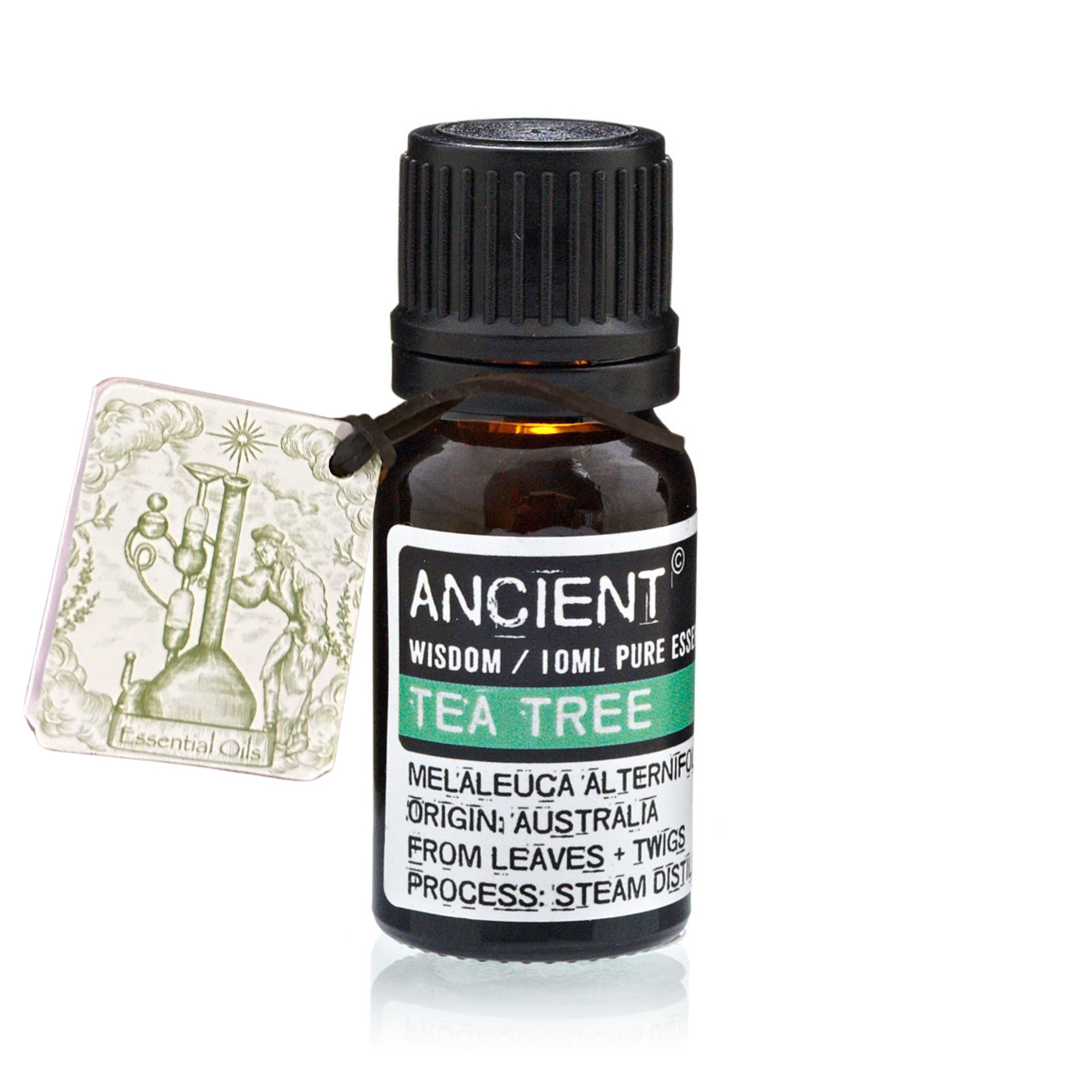 Aceite Esencial Árbol de té - Imagen 3