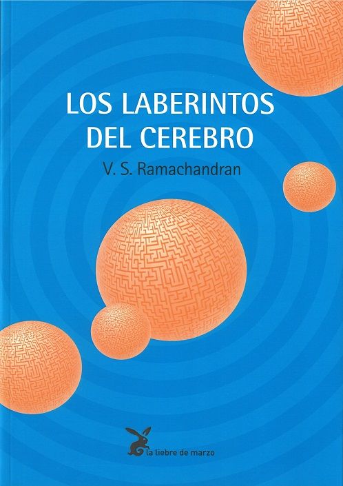 Los laberintos del cerebro.