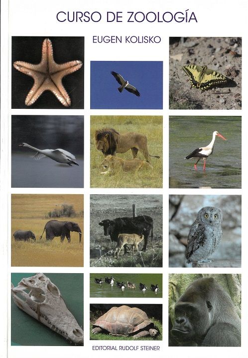 Curso de zoología.